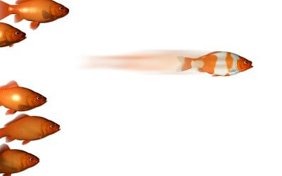 How to Differentiate Your Sales Solution