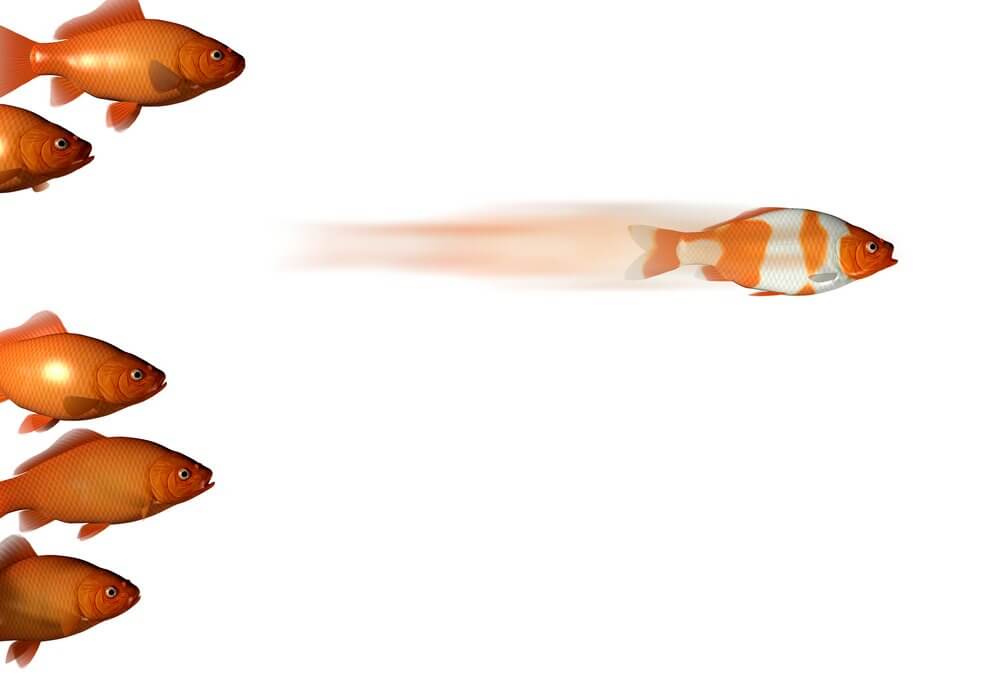 3 Ways Top Solution Sellers Outperform their Peers