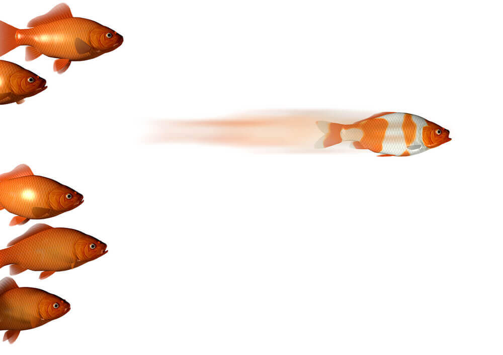 Leading-Sales-Metrics One fish is way out in front of others illustrating the power of Leading Sales Metrics