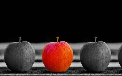 4 Steps to Differentiate from the Competition